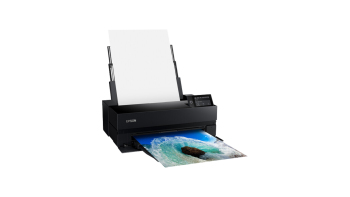 Epson SureColor P900 17